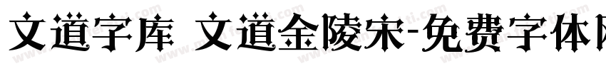 文道字库 文道金陵宋字体转换